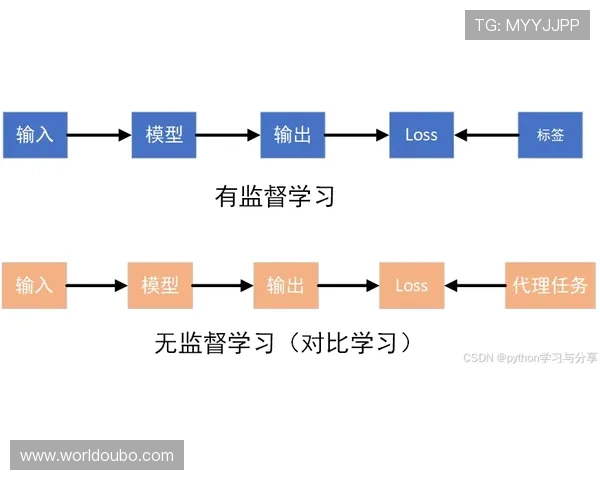 欧博代理网的操作流程详解让新手代理快速上手实现盈利目标